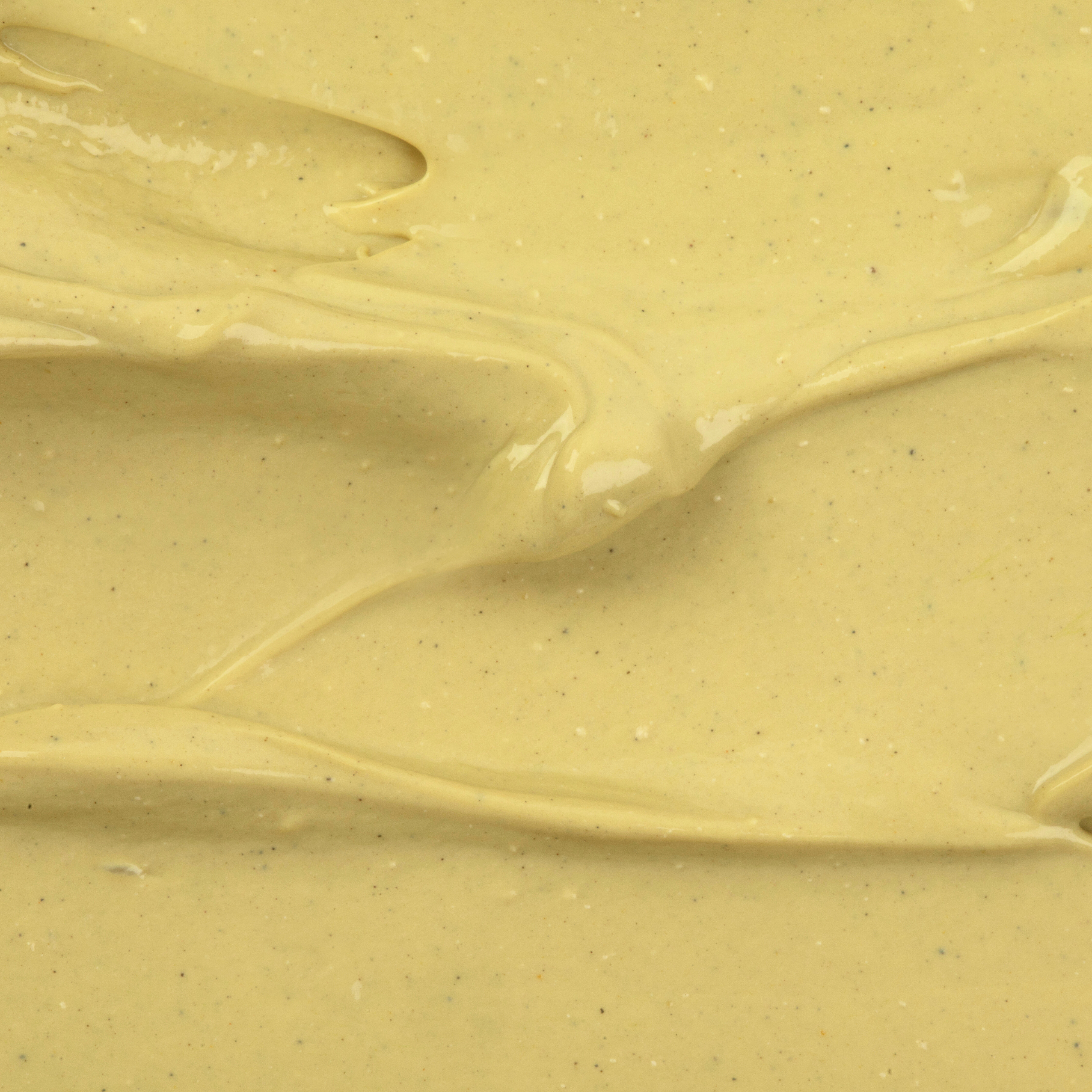 A single green leaf against a white background.